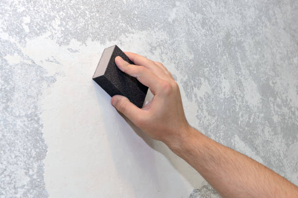Best Commercial Mold Inspection  in Walsenburg, CO