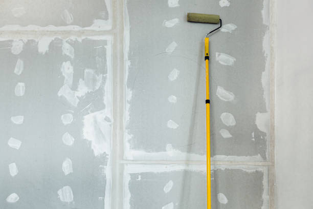 Mold Odor Removal Services in Walsenburg, CO