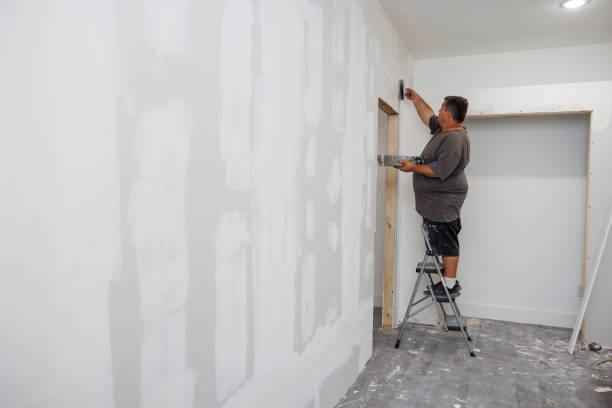 Best Mold Prevention Services  in Walsenburg, CO