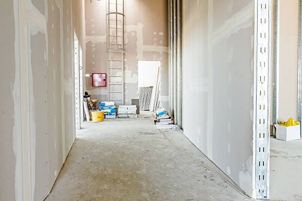 Best Post-Remediation Verification Testing  in Walsenburg, CO