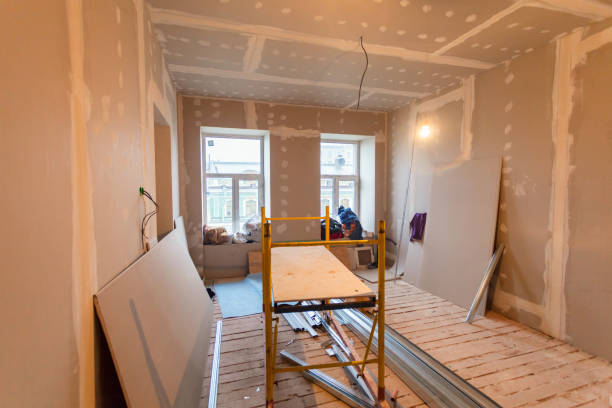 Best Post-Construction Mold Inspection  in Walsenburg, CO